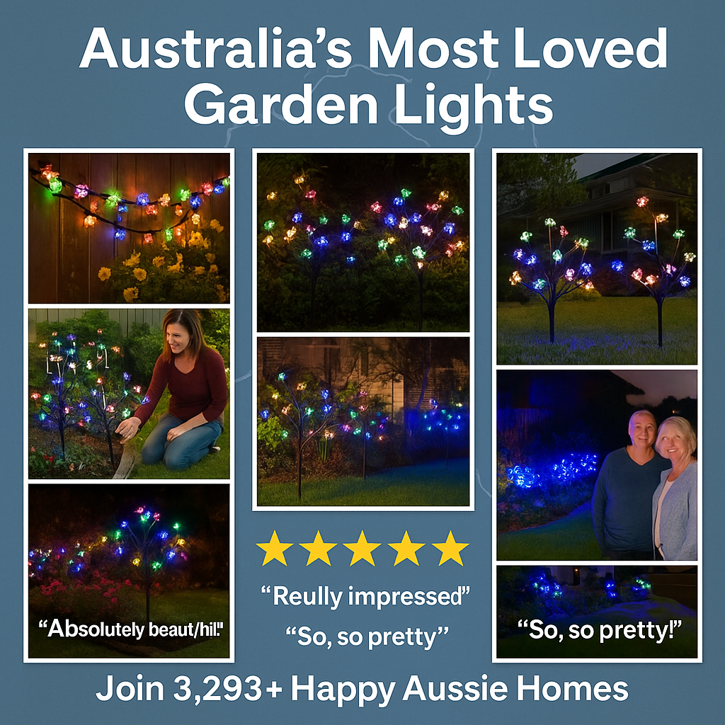 Magical Solar Lights That Instantly Transform Your Garden at Night